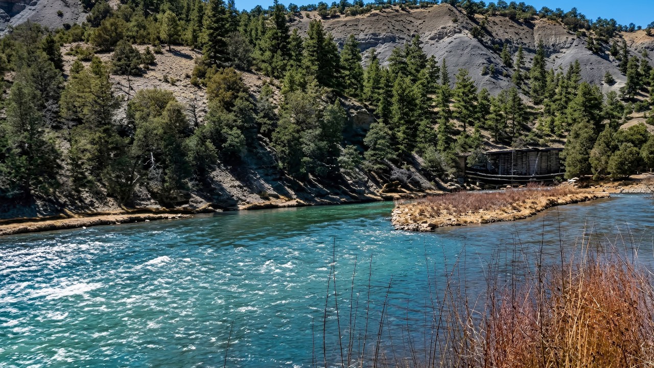 Река Чама: жизненно важная артерия северной части Нью-Мексико.