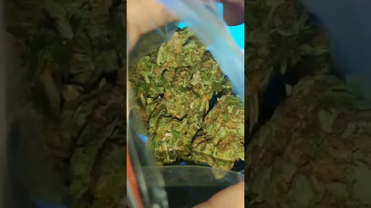 #maconha #skunk #weed amanh&atilde; irei postar v&iacute;deo bolando um baseado para iniciantes