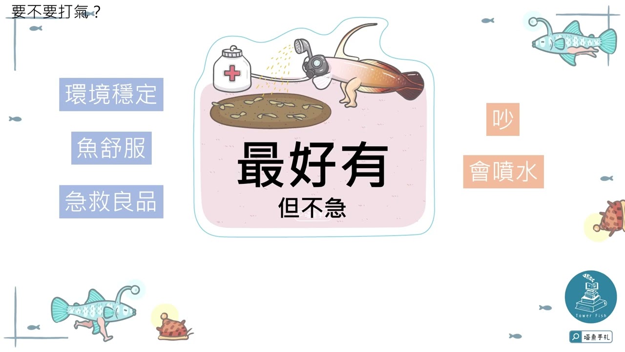 【水族東西軍#1】養魚要買什麼？10分鐘教你水族硬體的取捨