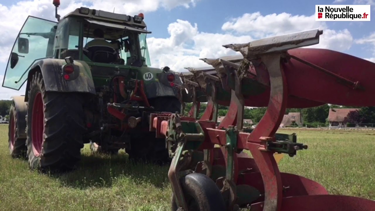 VIDÉO. Comice agricole : le concours de labours, comment ça marche ?
