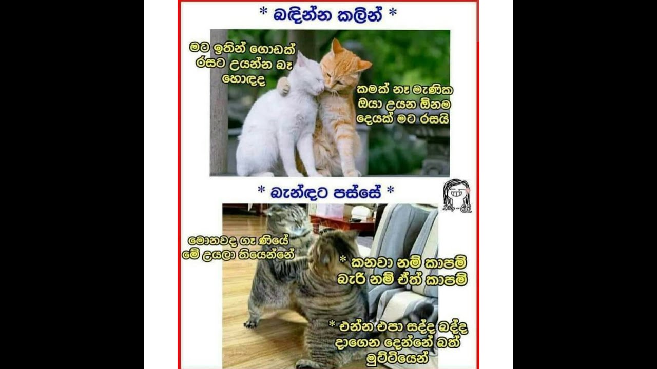 Fb funny post | Sinhala joke post 32 / Nittawa