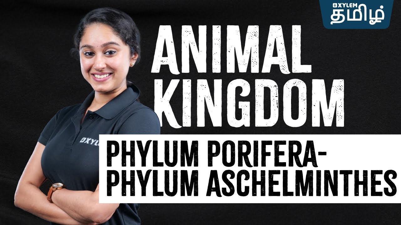 Animal Kingdom | Phylum Porifera - Phylum Aschelminthes | Xylem NEET Tamil