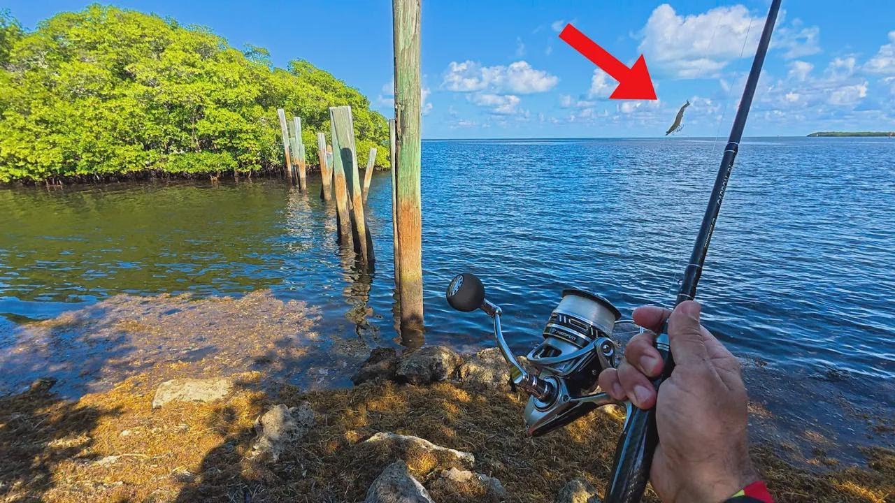 Pescando em Key Largo só da terra: sem barco, sem ponte!