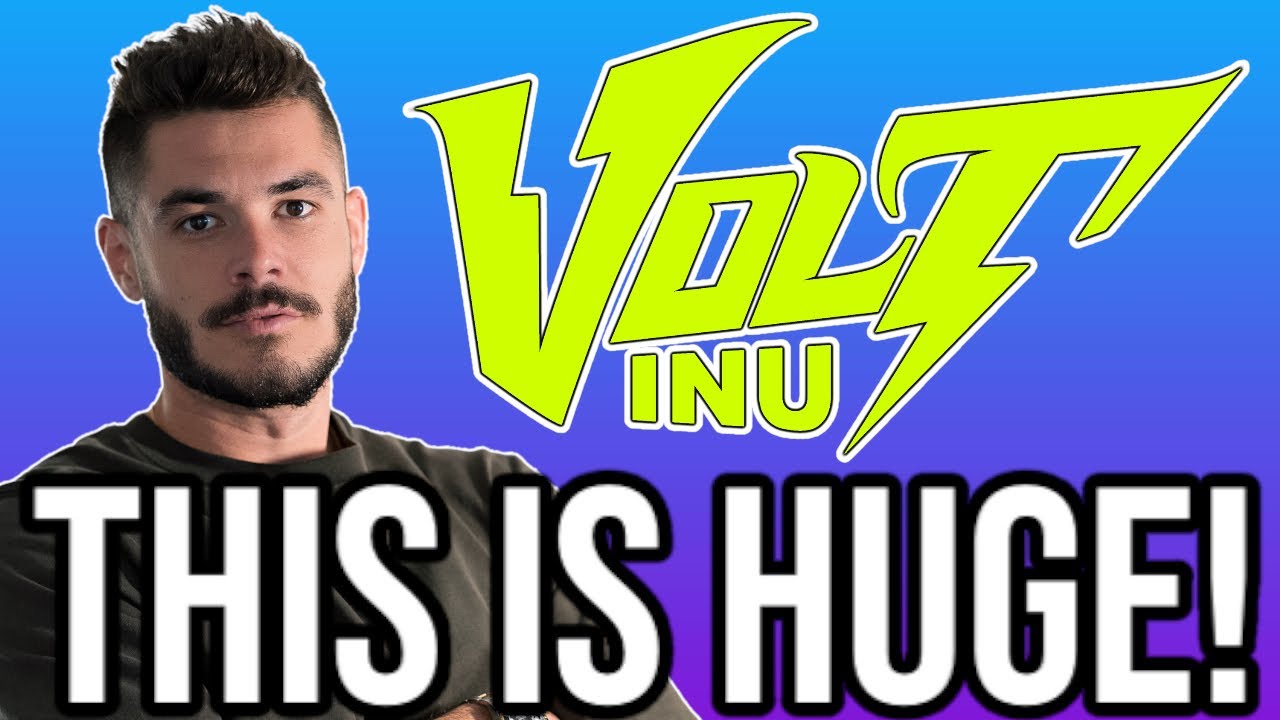 Volt Inu: 2023 Roadmap Updates!