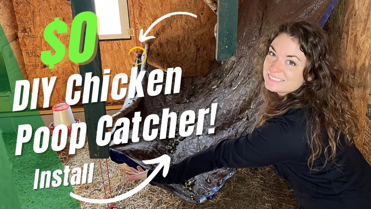 Chicken Coop Poop Hammock | DIY Coop Upgrades