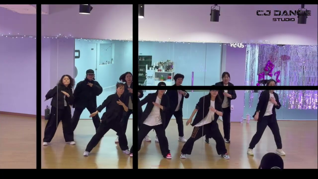 (다이어트댄스) Vengaboys  - Were going to IBIZA/나이트댄스/출처ZN