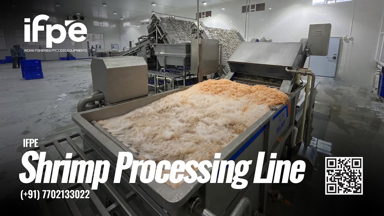 Shrimp Processing Line