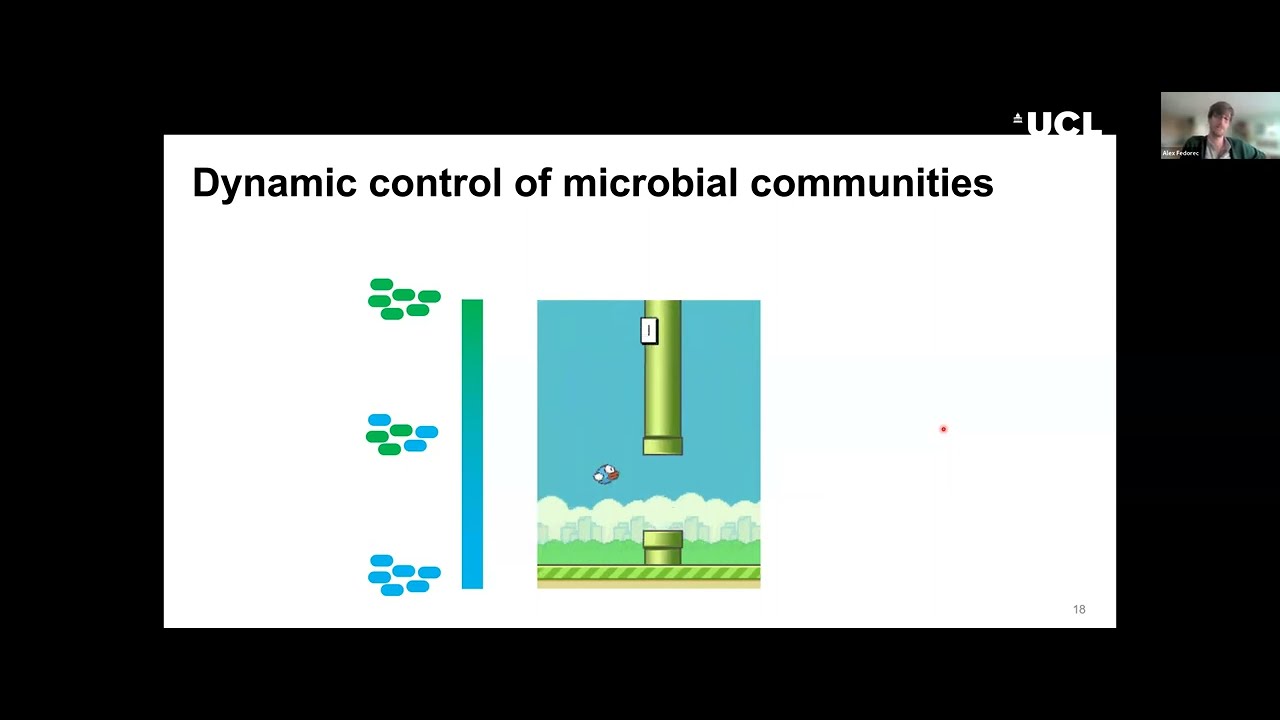 Engineering Microbial Communities