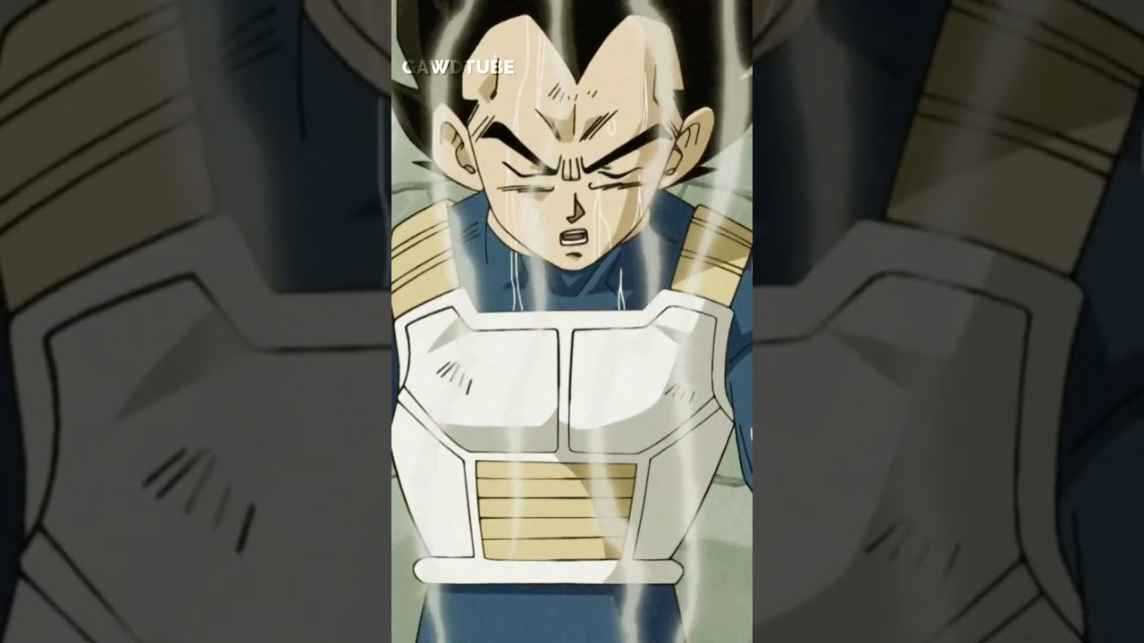 Vegeta Angers Mr Popo 😂
