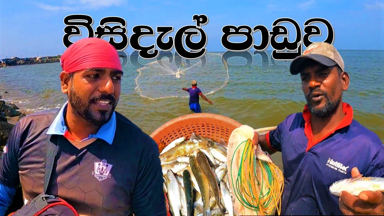 විසිදැල් පාඩුව | Cast net fishing | @wishwatiyubaya 😲👣🐟