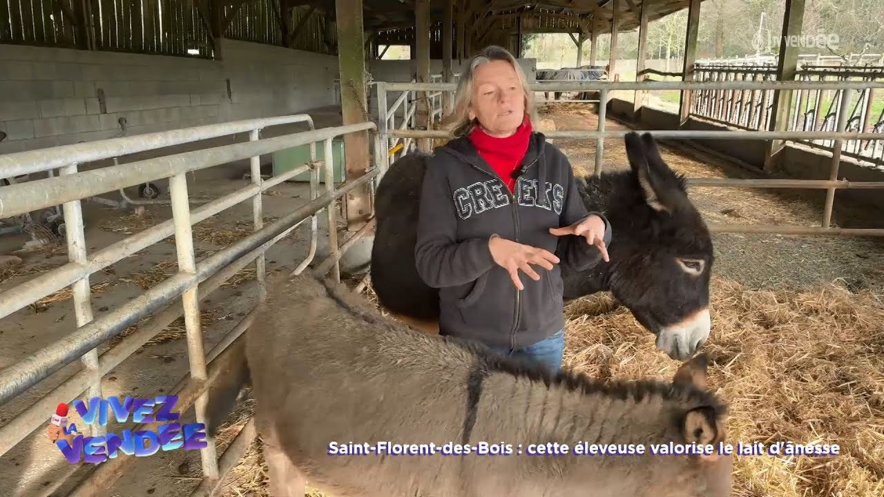 Vivez la Vendée : Le lait d'ânesse, un produit vraiment luxueux ?