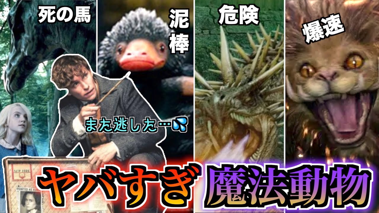 【ファンタジーな危険生物】ファンタビでも活躍した魔法生物達を徹底解説！【ハリポタにも登場】