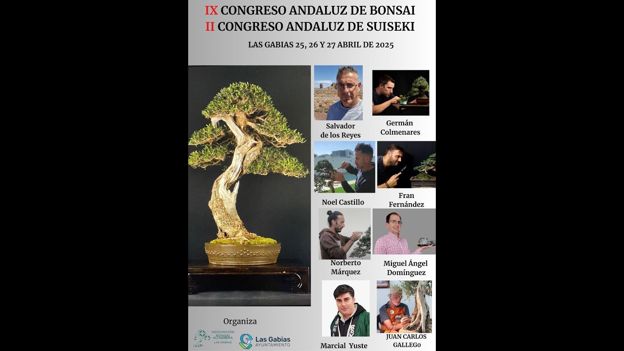 IX CONGRESO ANDALUZ DE BONSAI---II CONGRESO ANDALUZ DE SUISEKI