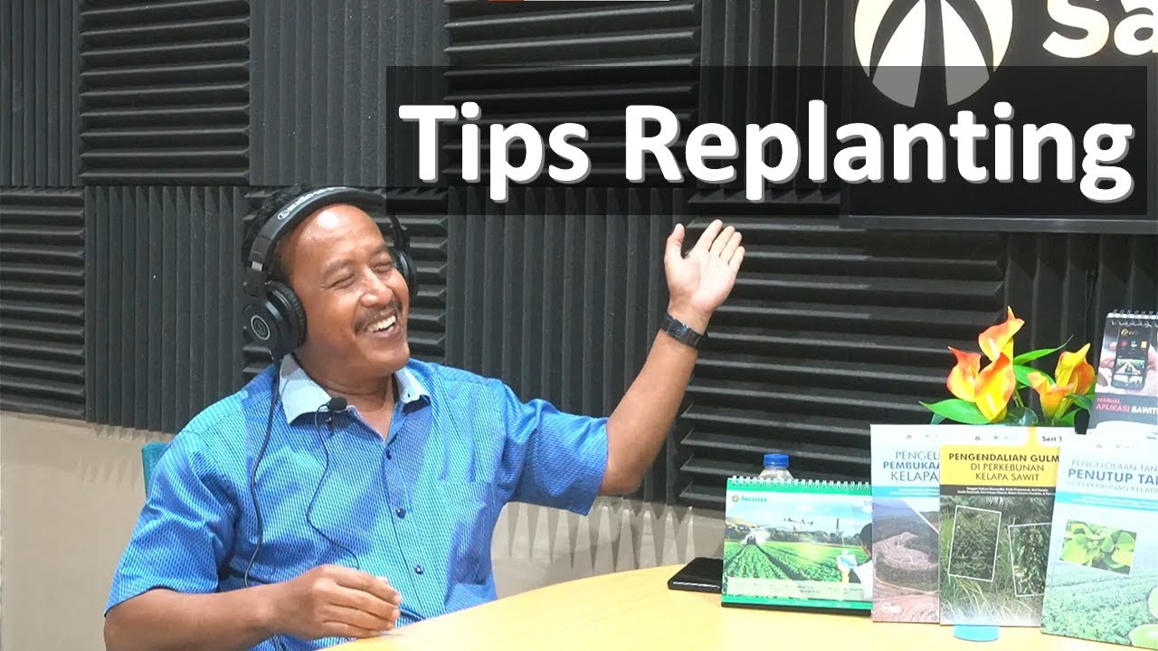Tips Replanting kelapa Sawit