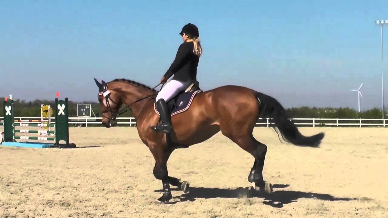 Karin mit La Conti in Markgrafneusiedl