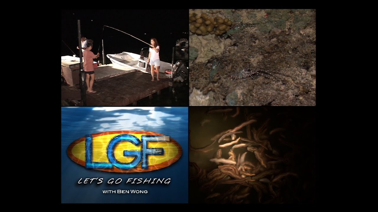LGF 69:  Aweoweo Everywhere!  🎣