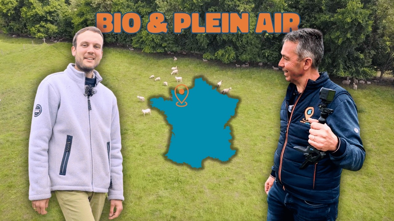 &Eacute;levage de moutons et poulets bio : t&eacute;moignage d&rsquo;un jeune install&eacute;