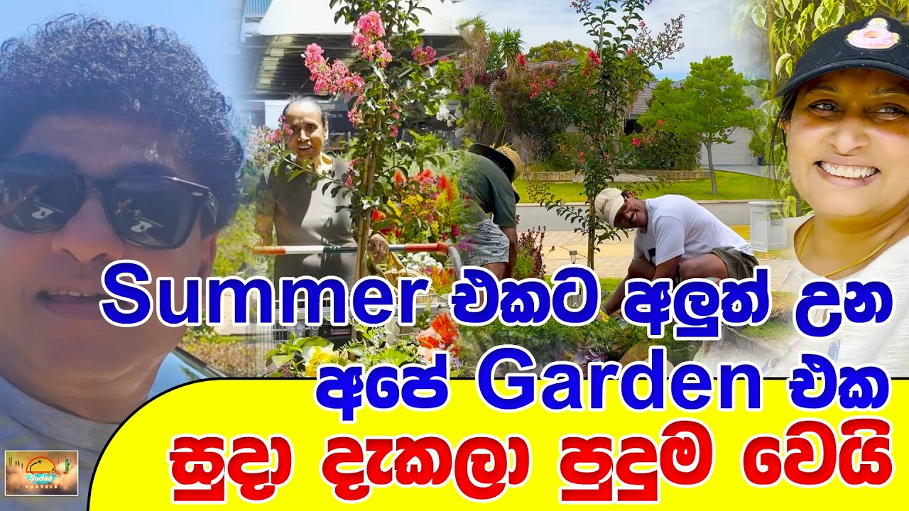 Sumer එකට අලුත් උන අපේ Garden එක සුදා දැකලා පුදුම වෙයි | SUDAA TRAVEL |