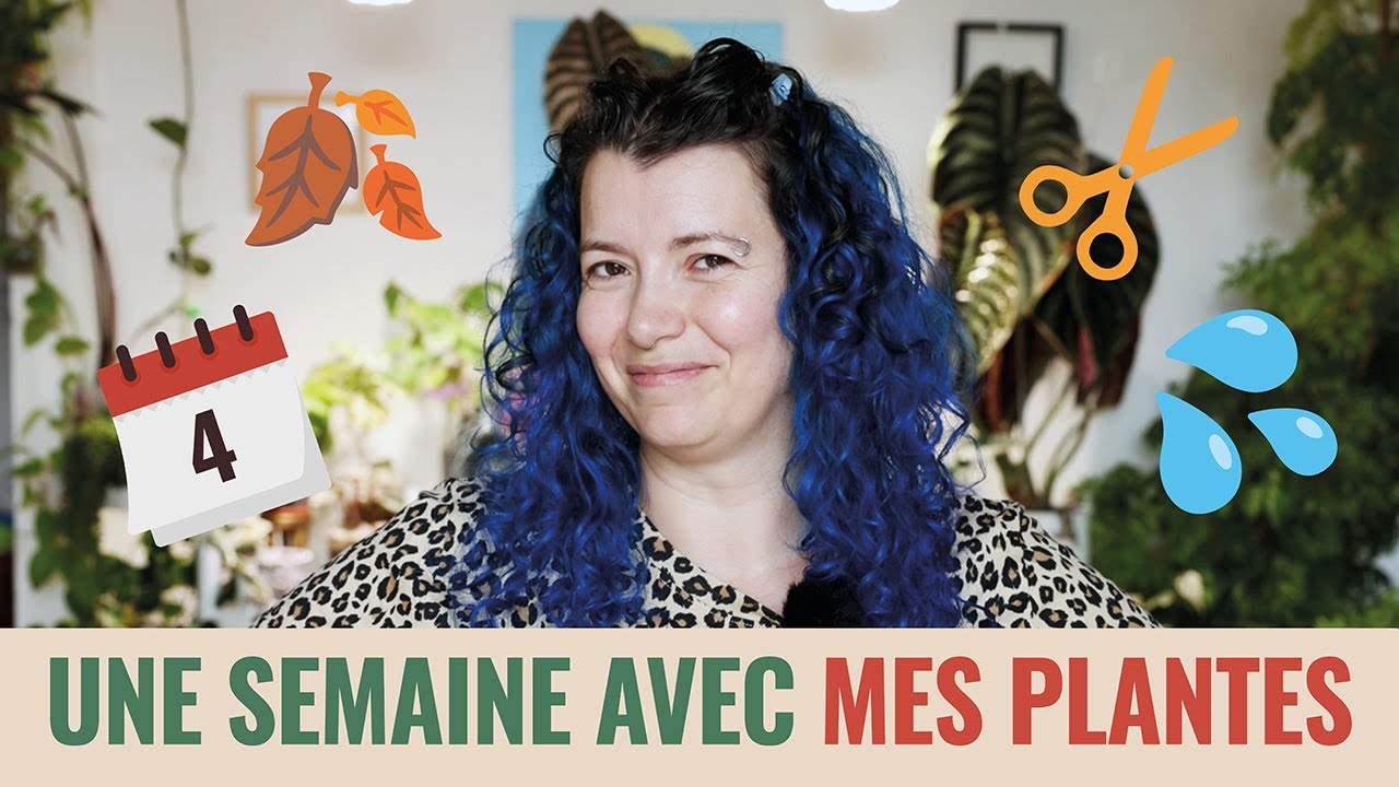 👩‍🌾 Une semaine avec mes plantes ! Weekly Vlog 🪴