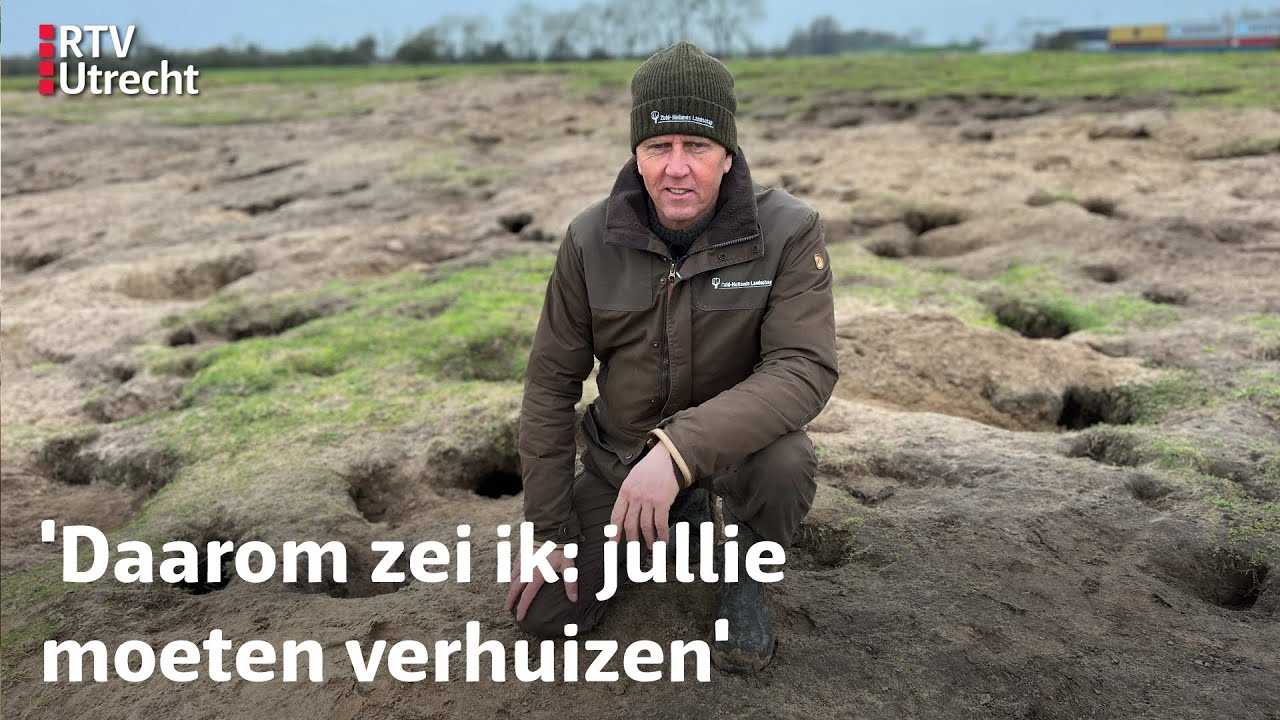 Duizend konijnen in Lexmond graven iets t&eacute; veel | RTV Utrecht