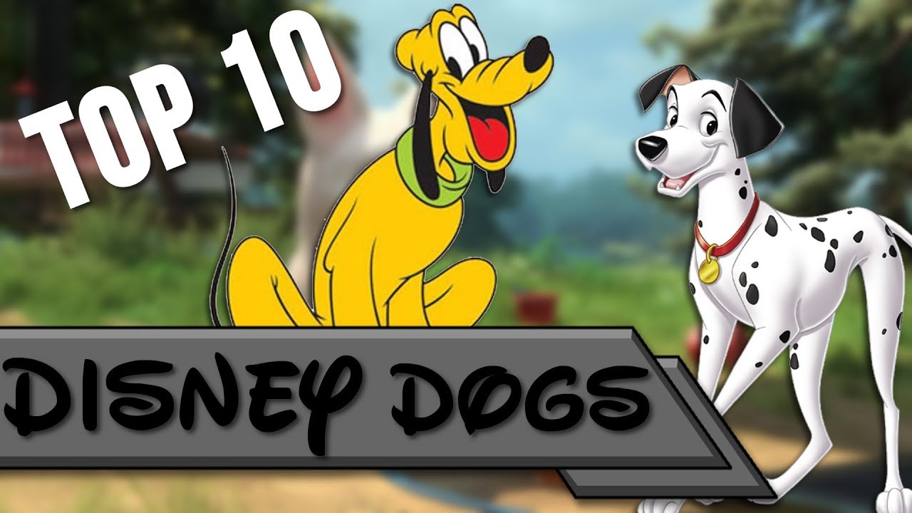 Top 10 | Disney Dogs
