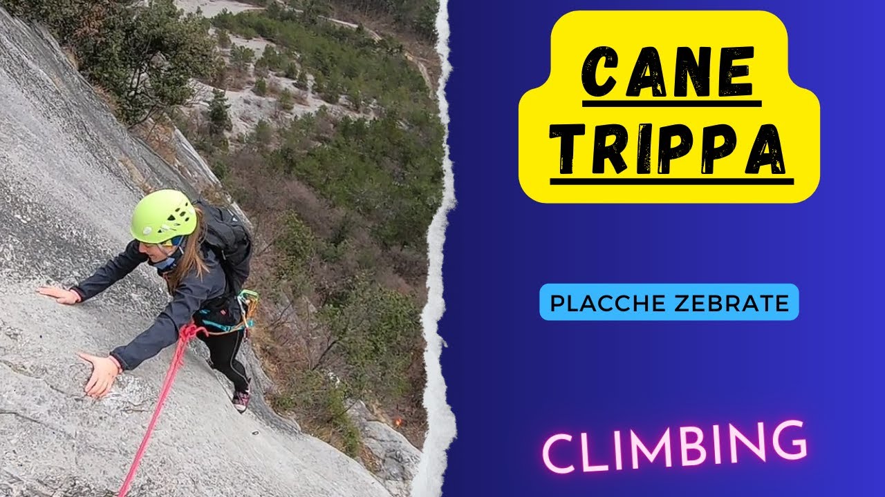 CANE TRIPPA - Placche Zebrate