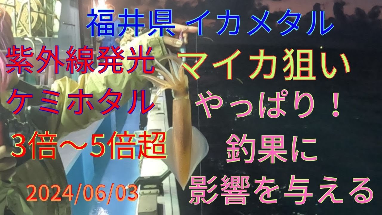 #36 福井県 敦賀市 色浜 イカメタル マイカ狙い 紫外線発光のケミホタル使用で 釣果向上  豊漁丸マイカ 便