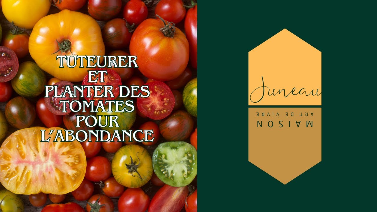 Planter et tuteurer ses tomates comme un pro (version Maison Juneau)