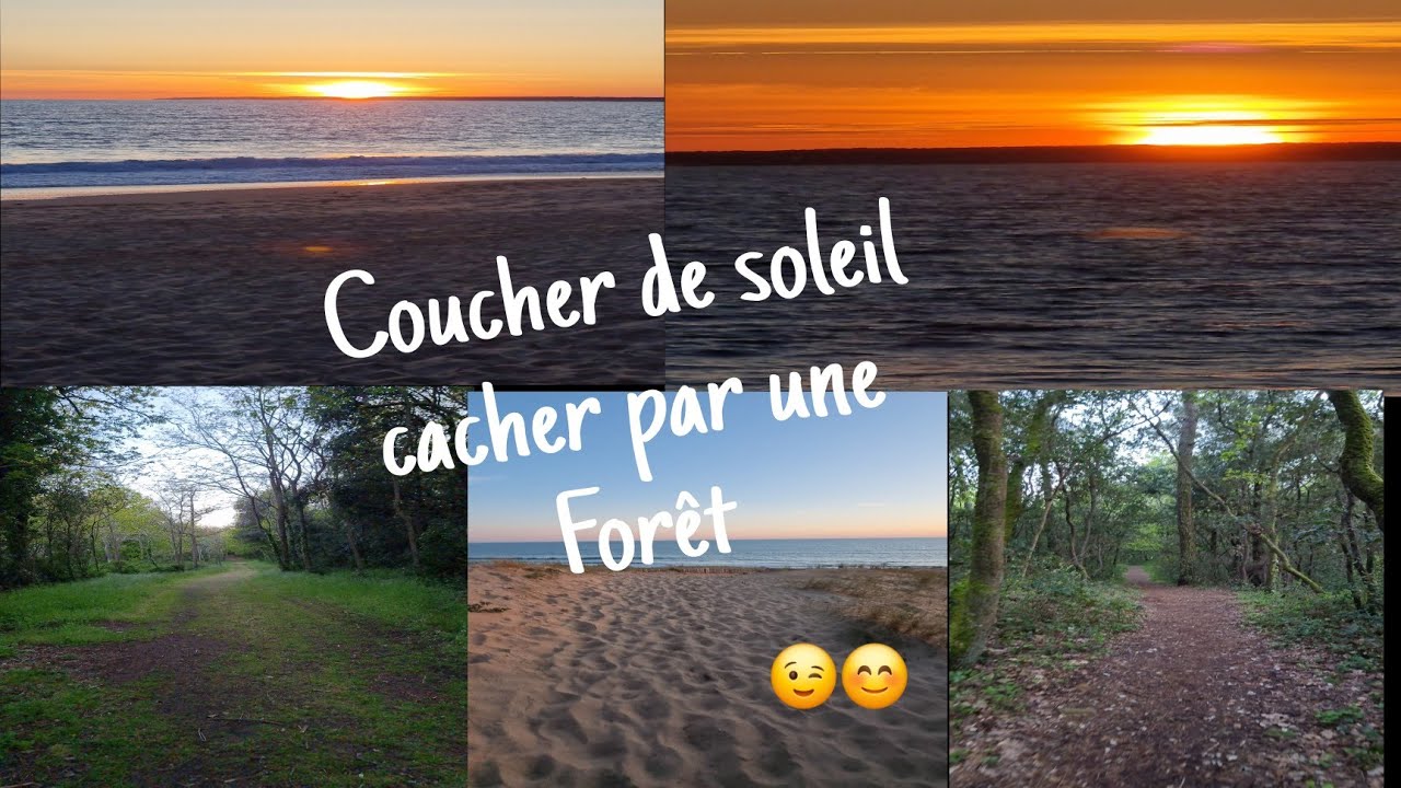 Passage secret par la forêt 😬 Cache un magnifique Coucher de Soleil à Longeville sur mer 😘😊