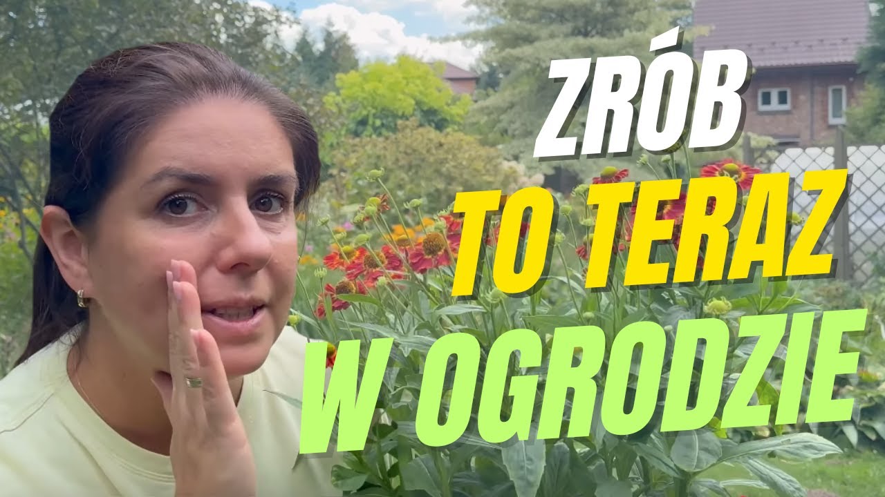 Prace ogrodowe we wrześniu 2025 – jak przygotować ogród na jesień