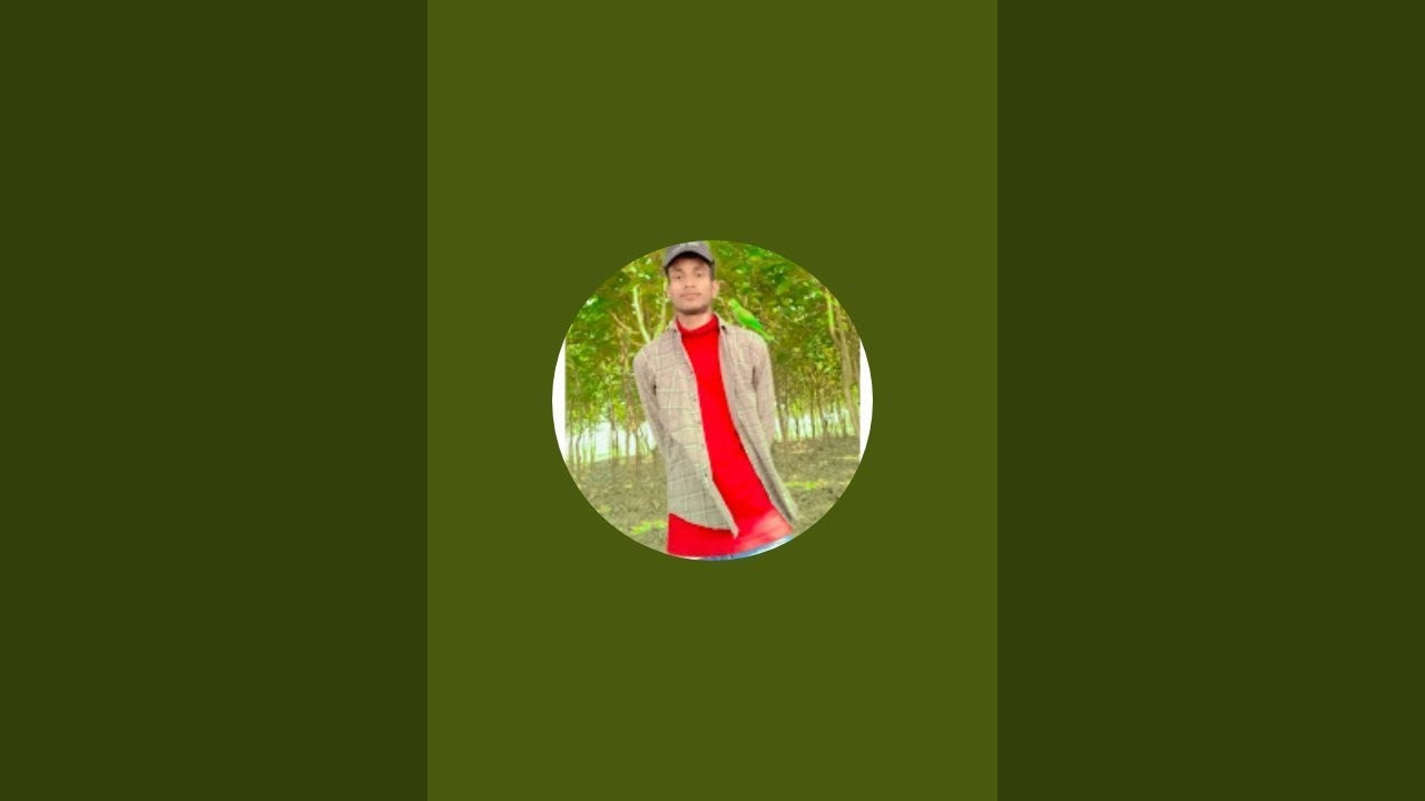 Amit  editor is live! is live