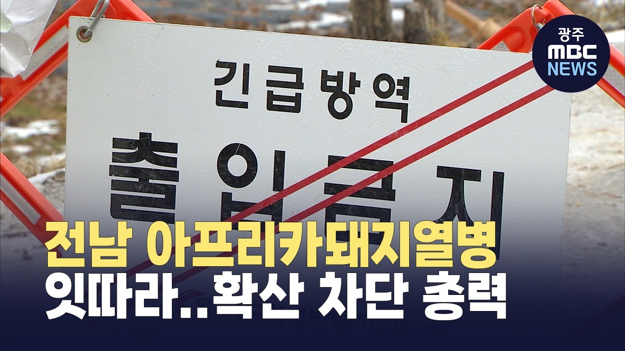 전남 아프리카돼지열병 잇따라.. 확산 차단 총력