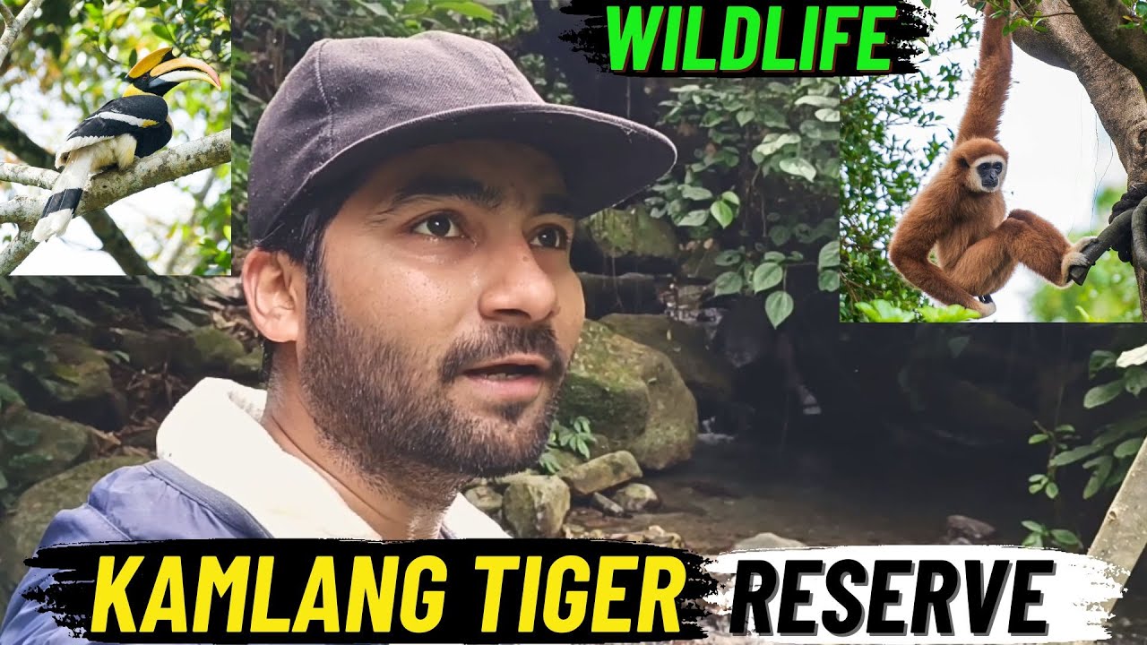 TREK to GLAW LAKE, Animals Spotted in Kamlang Tiger Reserve 😱, Arunachal Pradesh