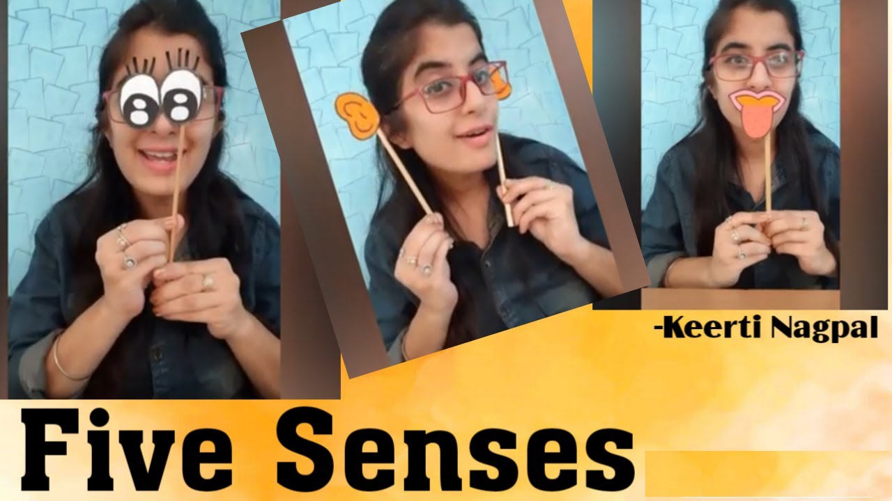 How to Teach Human Sense Organs | Sense Organs Activity for Kids
