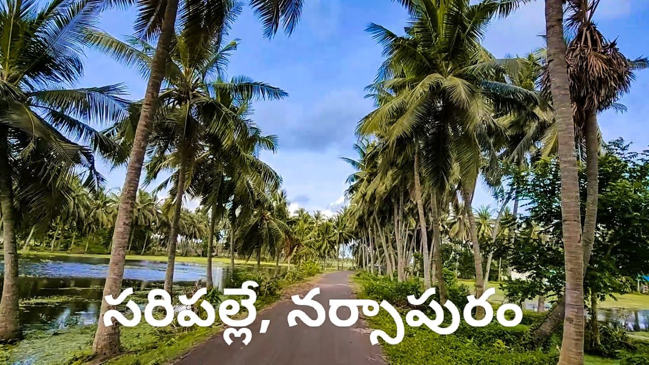 Saripalle Village , Narsapur