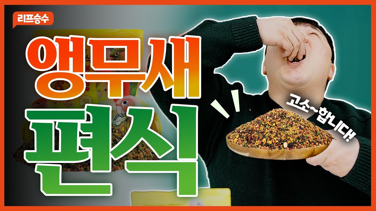 앵무새 편식 꼭 추천합니다!!