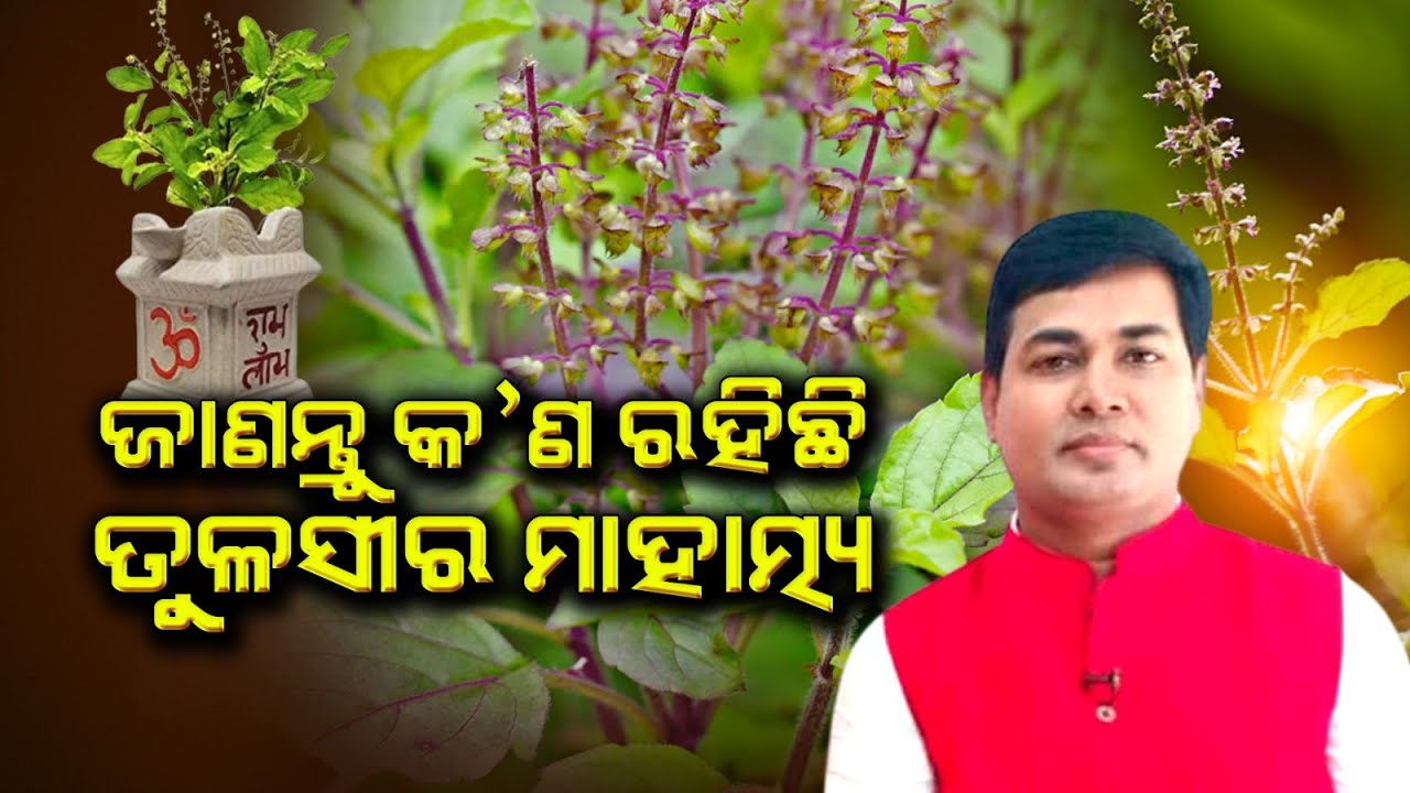 ଜଣାନ୍ତୁ କ'ଣ ରହିଛି ତୁଳସୀର ମାହାତ୍ମ୍ୟ | Dr Manoja Lenka | Happy Living Astro
