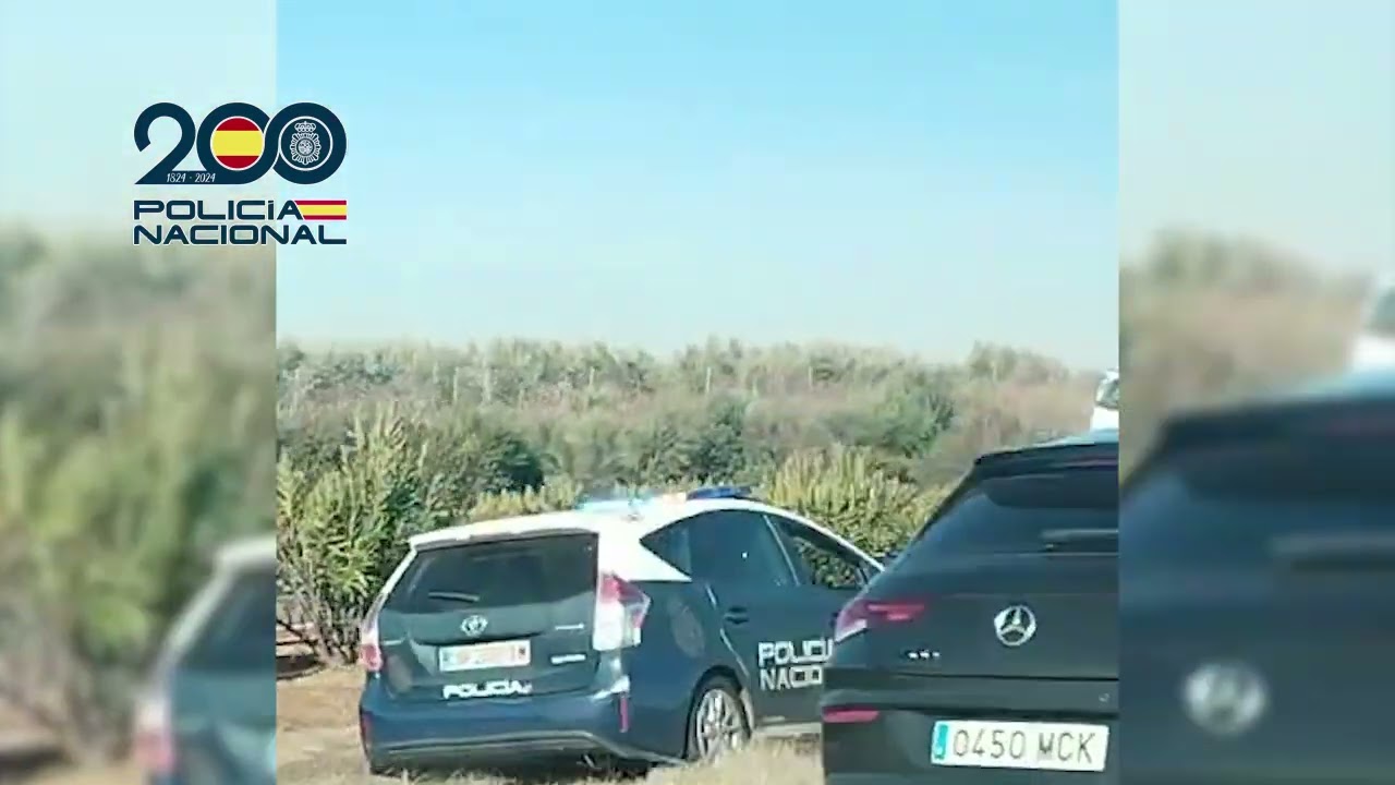 🚩Interceptado tras una persecuci&oacute;n un tr&aacute;iler que transportaba 500 kg de #marihuana