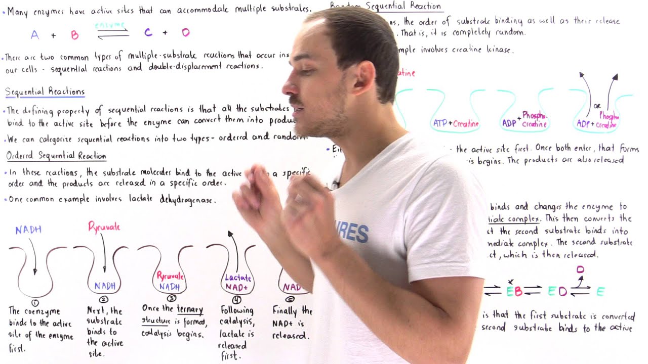 Sequential and Ping Pong Reactions