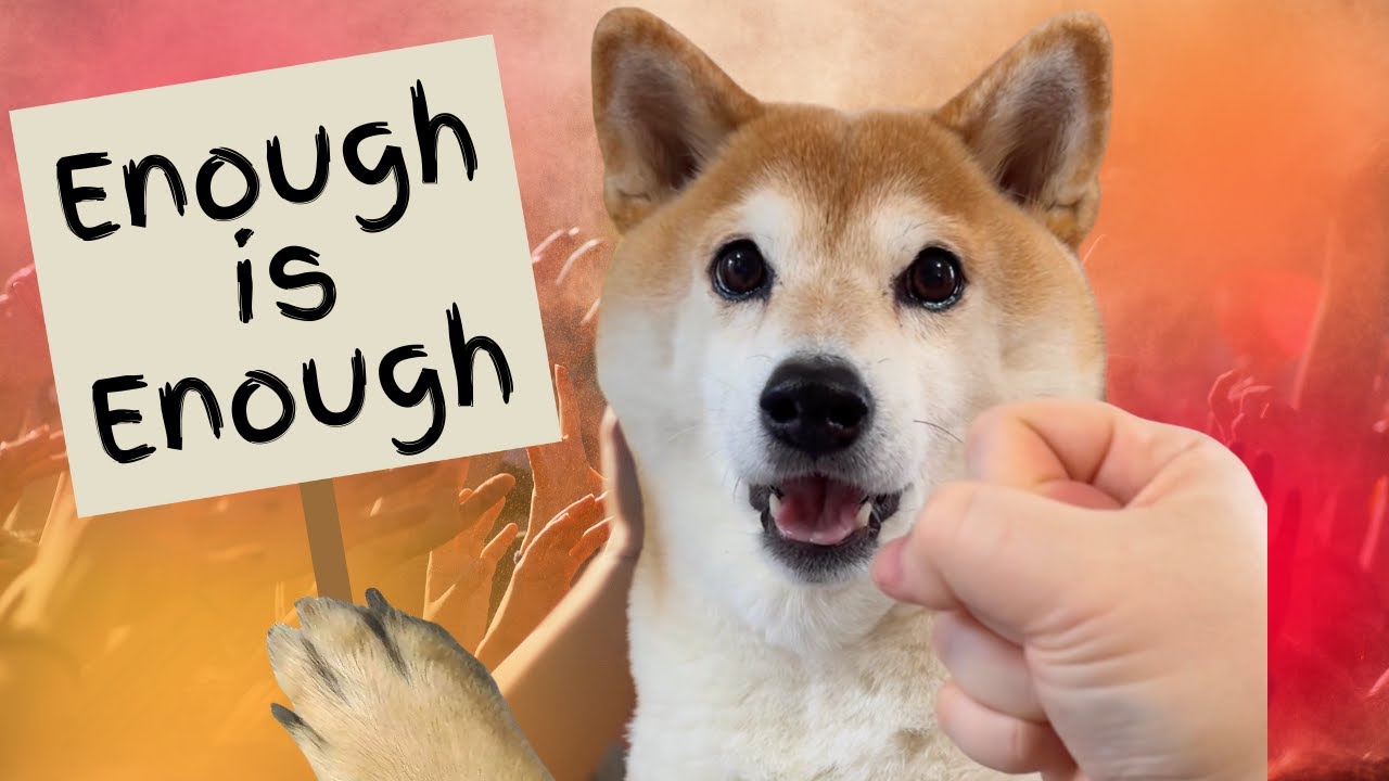 Doge: Knuckle Sandwich Justice Warrior