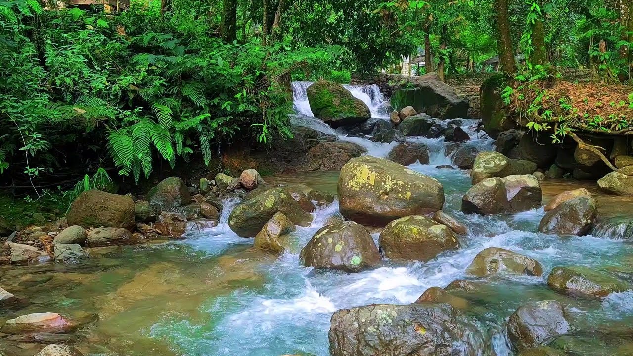 Flowing Water Meditation | River Sounds for Peaceful Sleep and Mind Reset