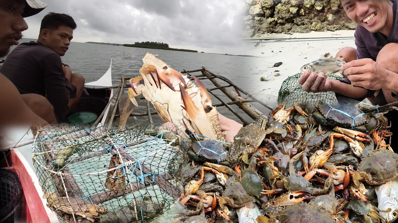 Maraming karawasan at Alimango alimasag ang pumasok sa trap, May bunos pa na isda