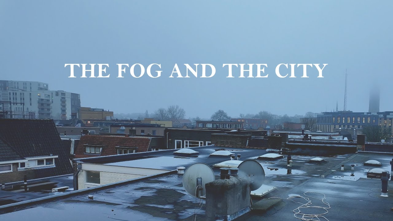 The fog and the city 4k #citylife