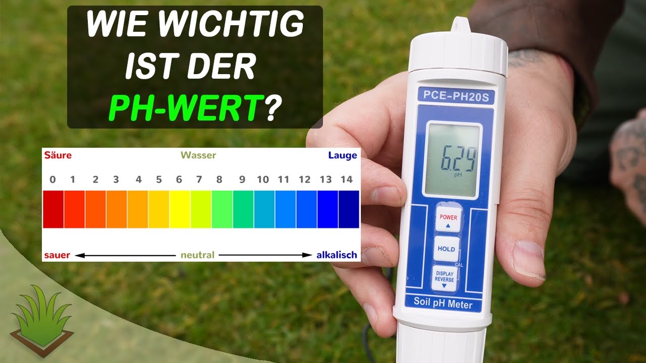 Saurer oder alkalischer Boden | Was braucht der Rasen?