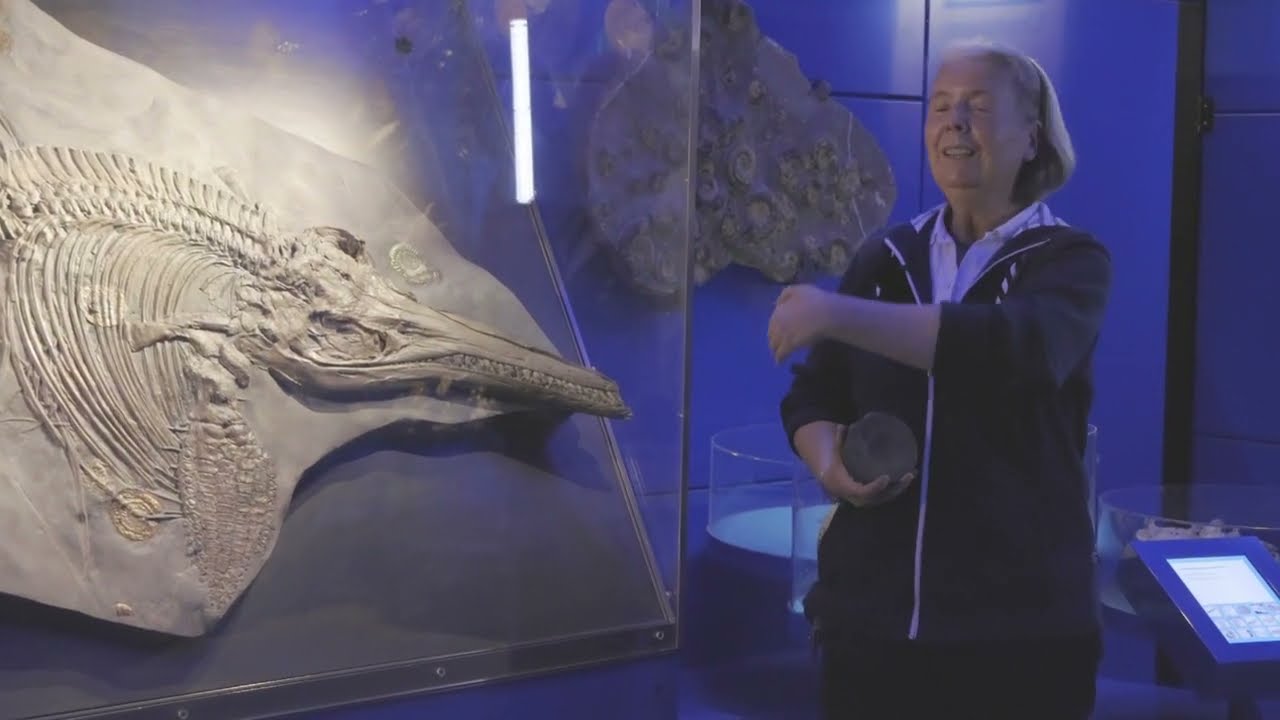 Ein Ichthyosaurierskelett, erklärt von Dr. Annette Richter im Landesmuseum Hannover