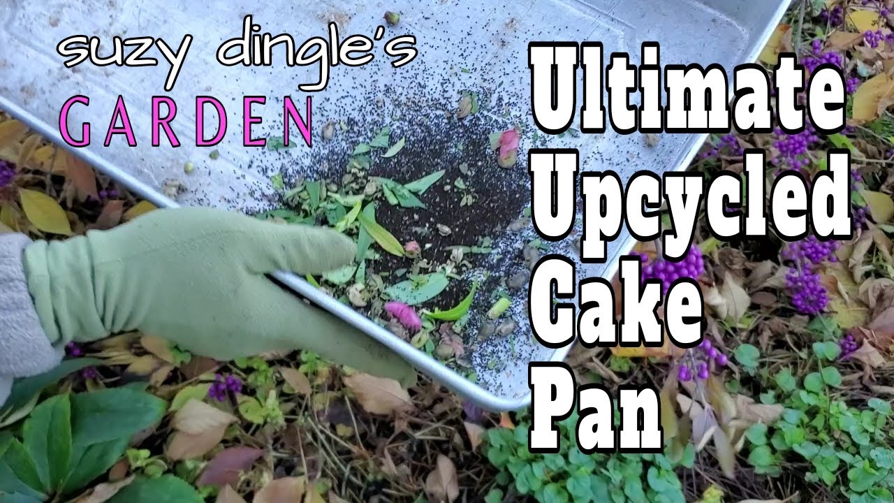 11 Ways to Use an UPCYCLED Cake Pan (Hint: in the garden not the oven!)