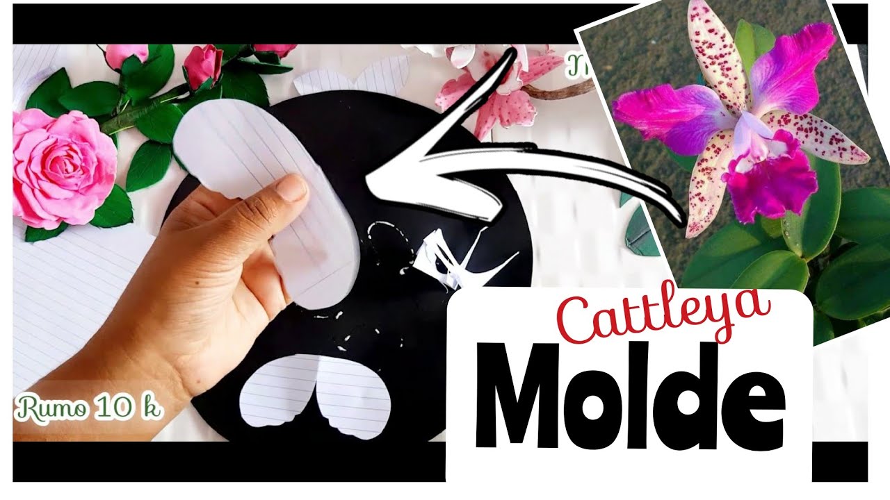 #moldeflor, #craftflower, COMO FAZER MOLDE DA ORQUIDEA CATTLEYA.