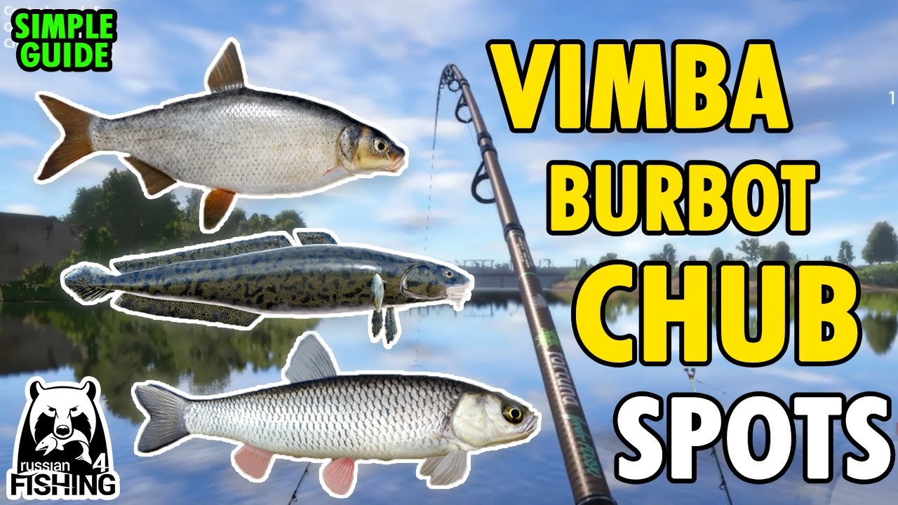 Volkhov River Spots : VIMBA - CHUB - BURBOT | Russian Fishing 4