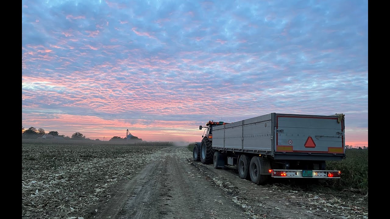 Harvest 2022 [ Case Puma 155, Claas Dominator 96 ]
