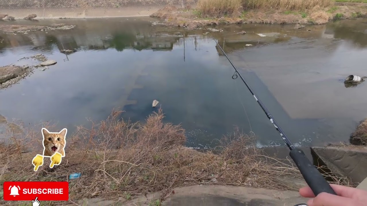 冬の静かな川で一人釣りしてみた fishing japan